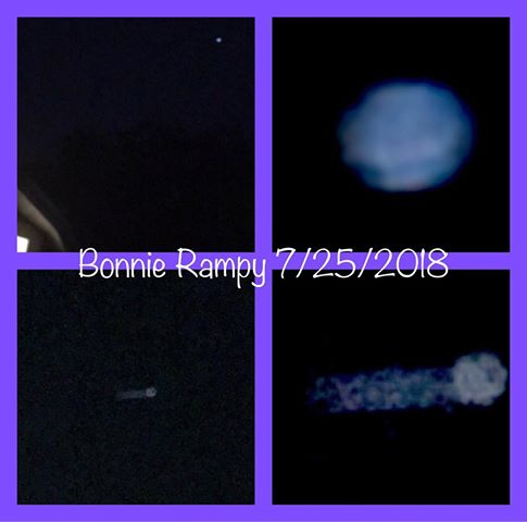 Bonnie 1