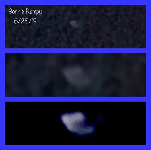 Bonnie 4