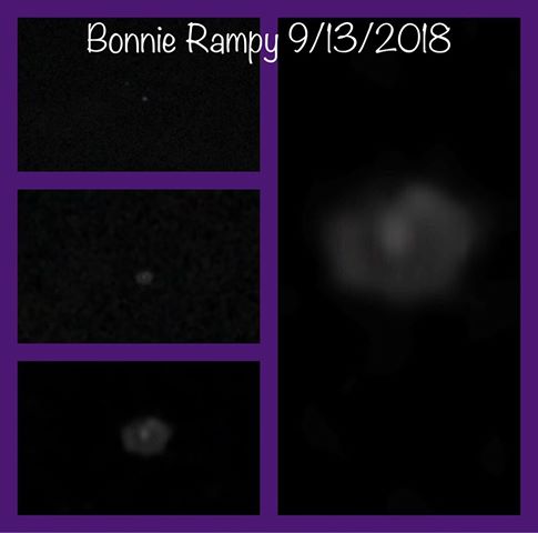 Bonnie 5