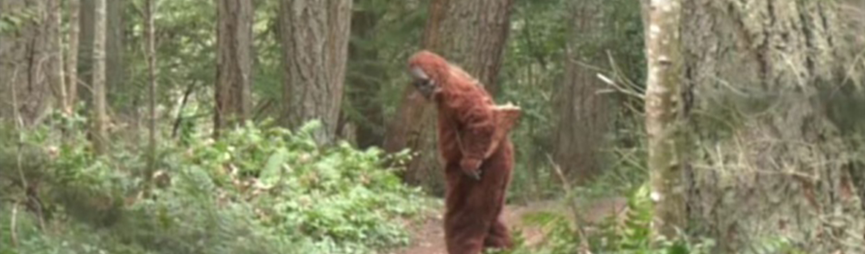 Hunting Bigfoot Header